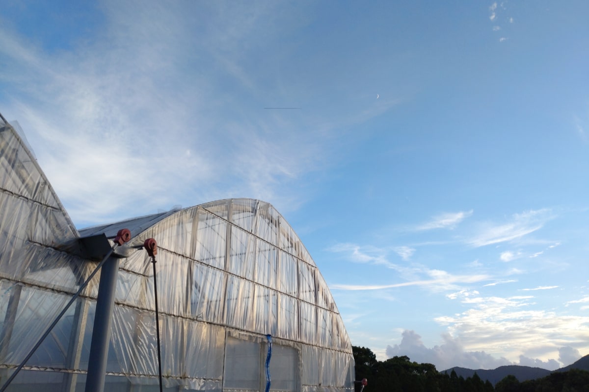 MICHI-FARMについて